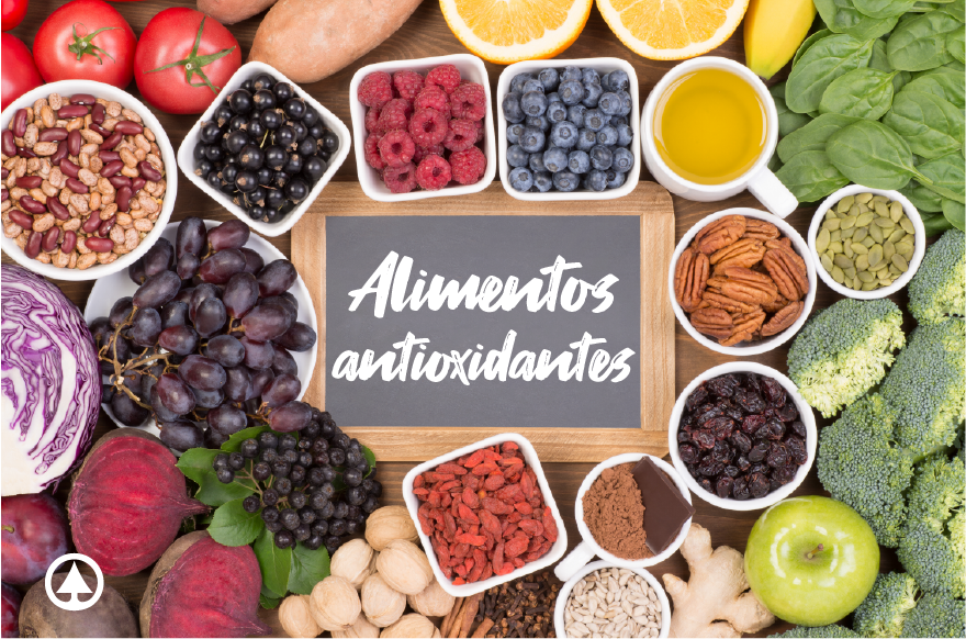 Antioxidantes en dieta alimenticia