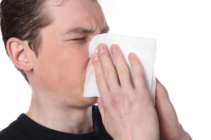 tipos de alergias