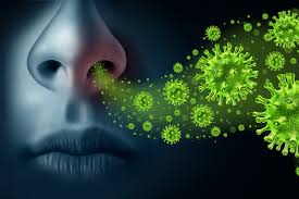 Virus de la influenza